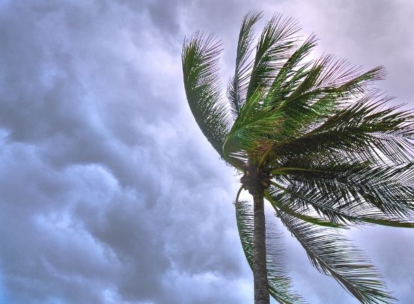 Tracking a Tropical Storm with No Name
