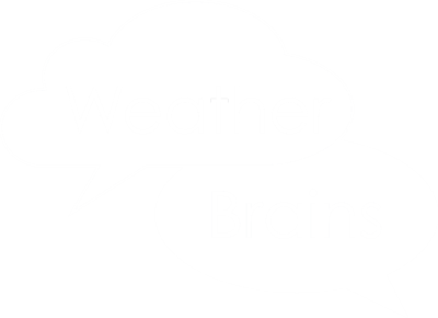Weather Brains